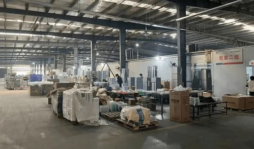 95后小宇宙的能量 做傳統(tǒng)小家電一年銷售近百萬(wàn)美金